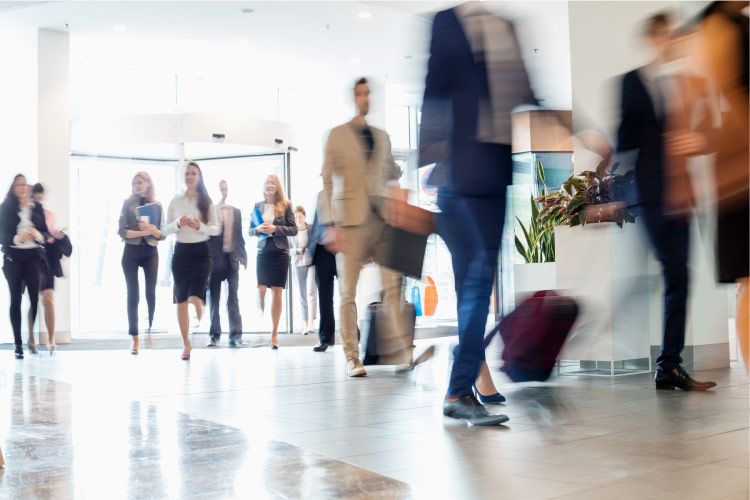 A dozen businessmen and women return from lunch to a well-lit office building in Bellevue, Washington.