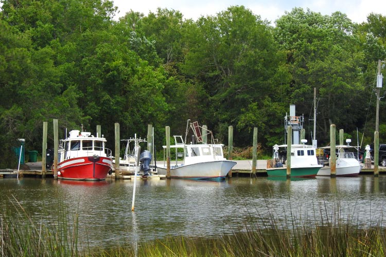 Fishing boats are docked along the water’s edge in Ocean Springs, Mississippi. 