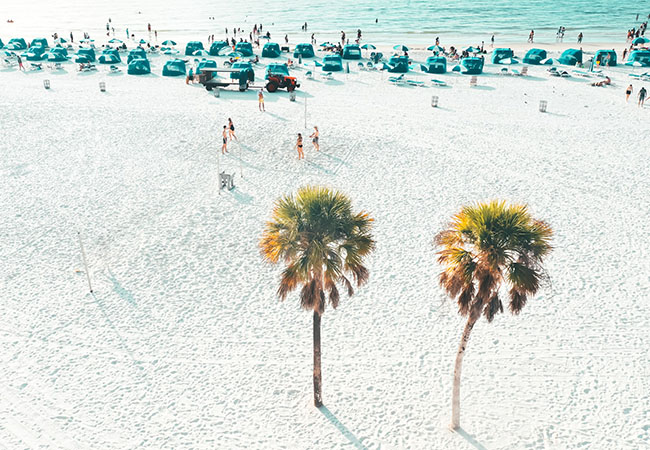 Two palm trees stand on Clearwater Beach