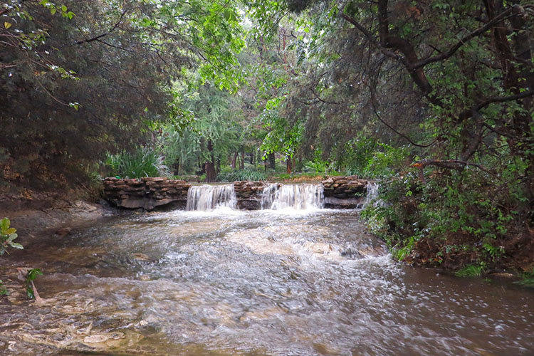 A running creek local to Lochwood, Dallas