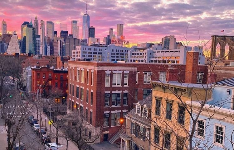 Treetop view of a San Francisco neighborhood at sunset with the city skyline in the distance. 