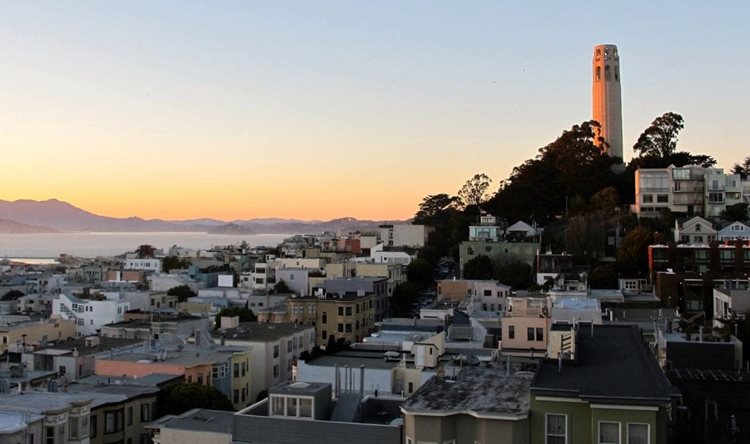 Treetop view of Coit Tower on Telegraph Hill and the surrounding residential blocks. 