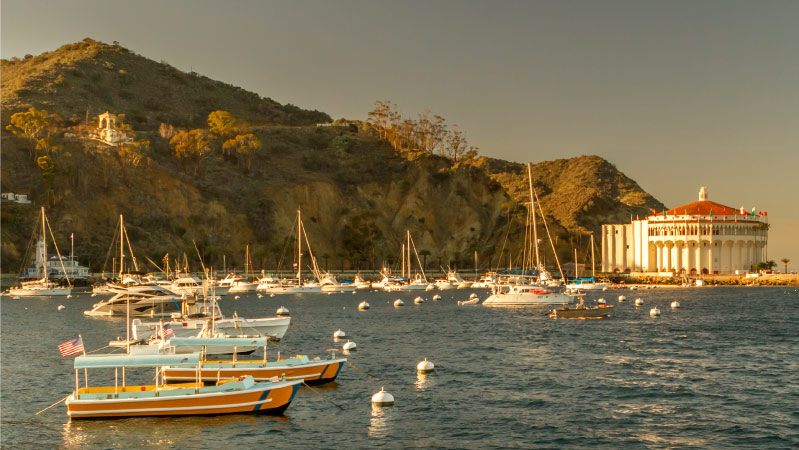 Late afternoon sunshine warms harbor boats and lights up the historic Catalina Casino movie theater in the town of Avalon on California’s Santa Catalina Island.