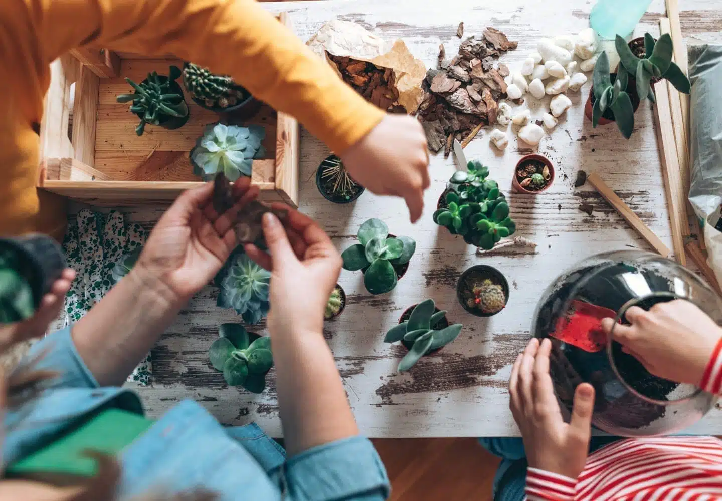 an aerial image of a mom and her two kids. Their hands are in the image as they repot plants.