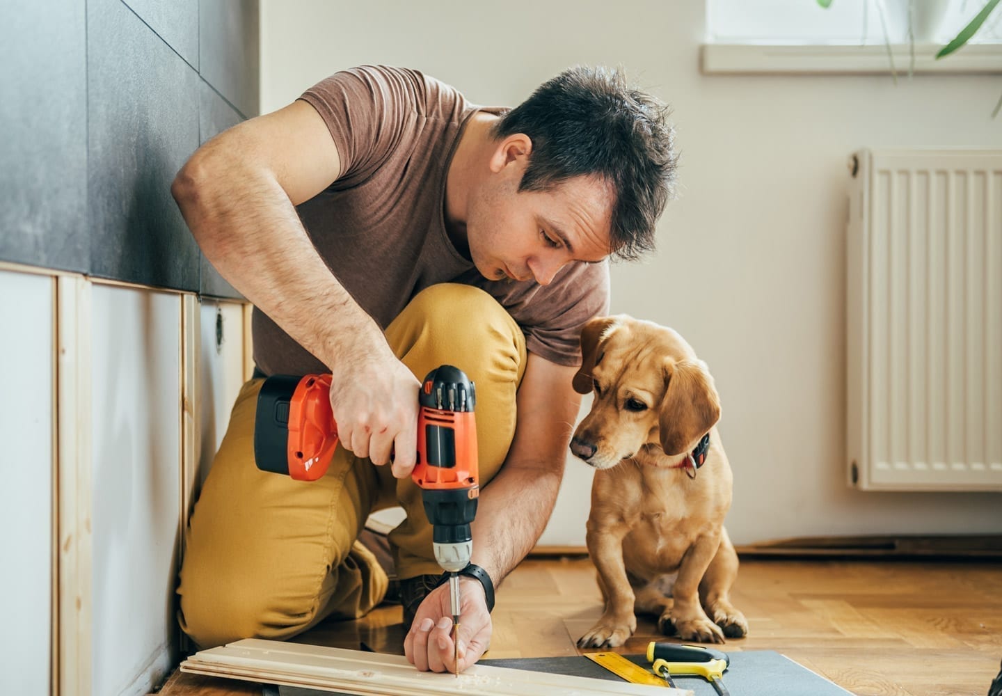 steps to remodeling a house with pet