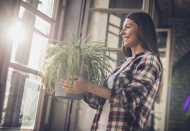 A woman carries a houseplant into a room