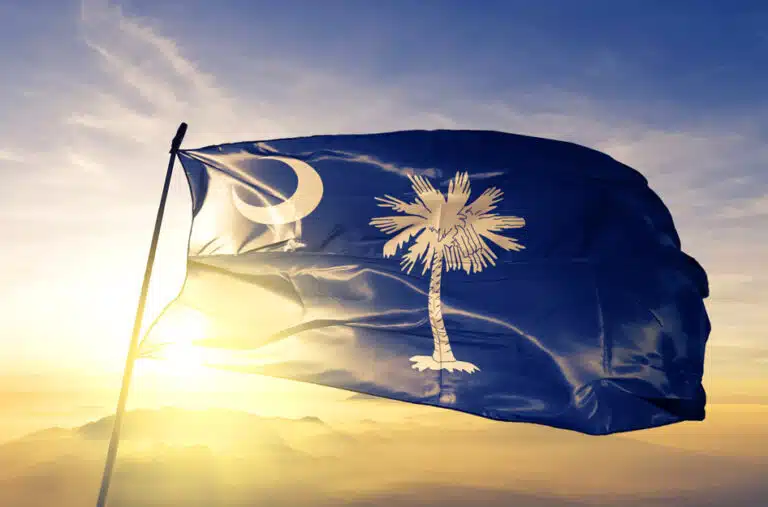 The South Carolina state flag is blowing in the wind at the top of a flag pole while the sun rises above a low range of mountains in the distance.