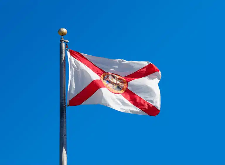 The Florida state flag is waving at the top of a flagpole against the background of a clear blue sky