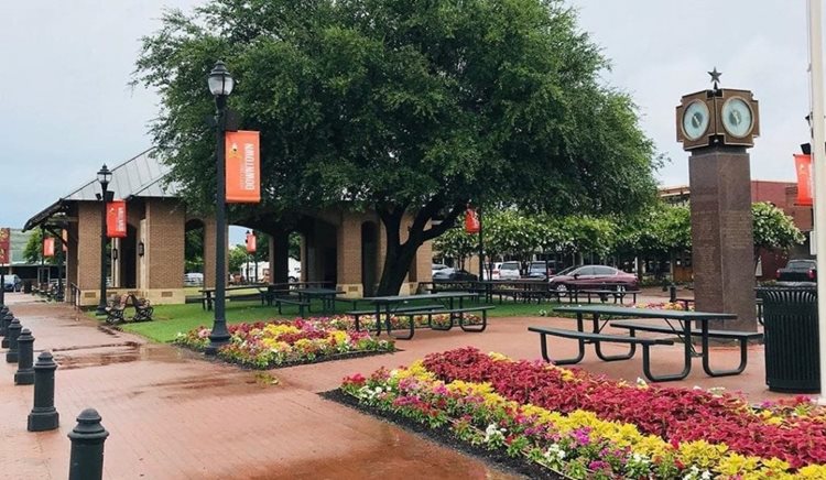 Historic Square in Celina after the rain. There are colorful flowers on the ground and picnic benches.