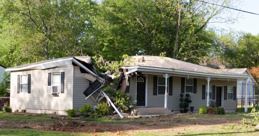 A house damaged by a fallen tree