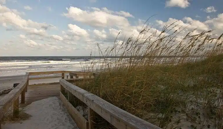 view of Jacksonville coast from wooden walkway