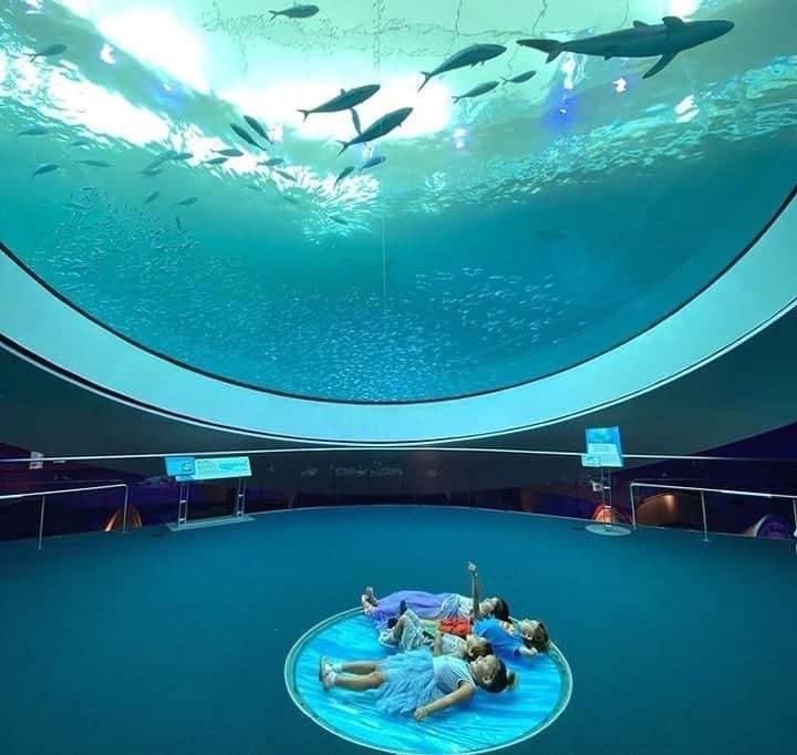 A group of young kids lay on the floor of an aquarium and point up at the sharks and fish in the tank. 