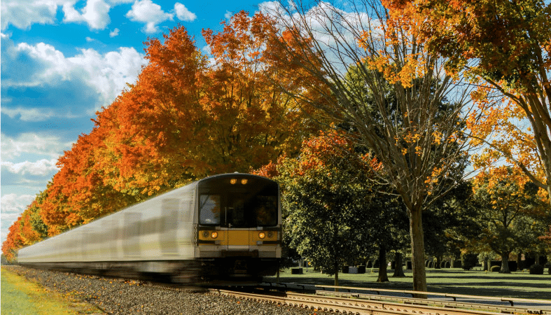 A train is quickly approaching on the Long Island Rail Road in Farmingdale, New York, on Long Island. It’s a sunny autumn day and the leaves on the trees along the track are vibrant yellows and oranges. 