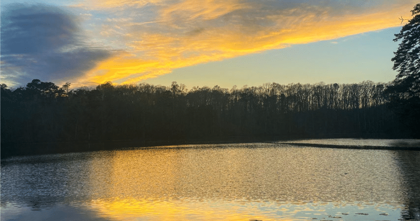 The sun is setting over Yates Mill Pond in Historic Yates Mill County Park near Garner, North Carolina. A streak of clouds across the sky is reflecting yellow light from the sunset across the waters of the pond. 