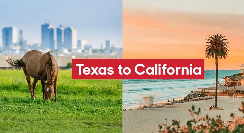 A split image showing a horse grazing with Fort Worth in the background on the left. and a San Diego beach at sunset on the right. The overlaid text reads “Texas to California.”