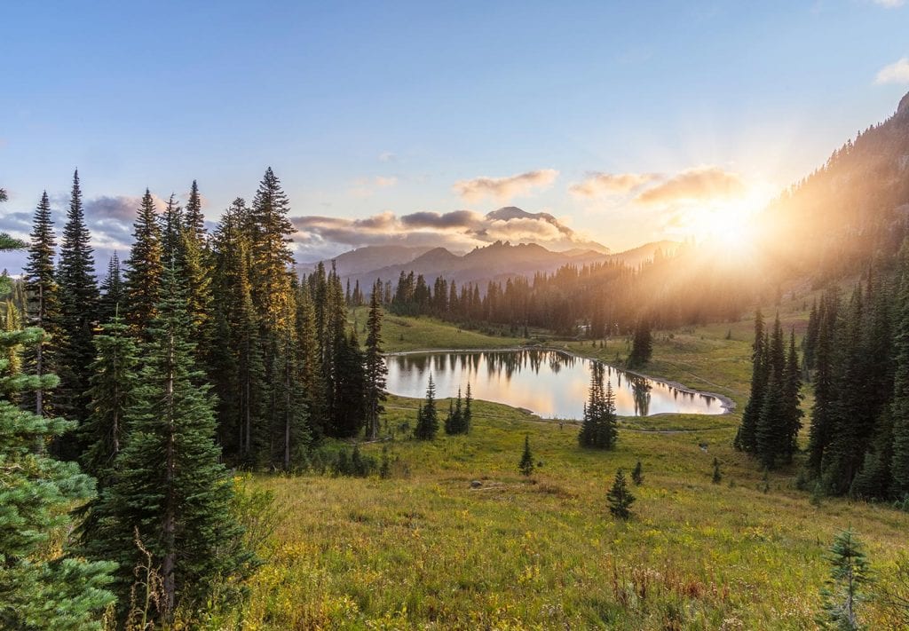 Scenic view of the beautiful outdoors in Washington state