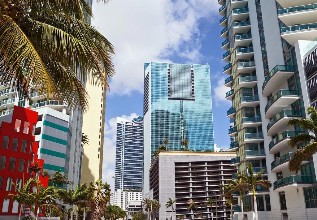 View of downtown Miami with decorative palm trees beside high-end condo buildings and high rises.