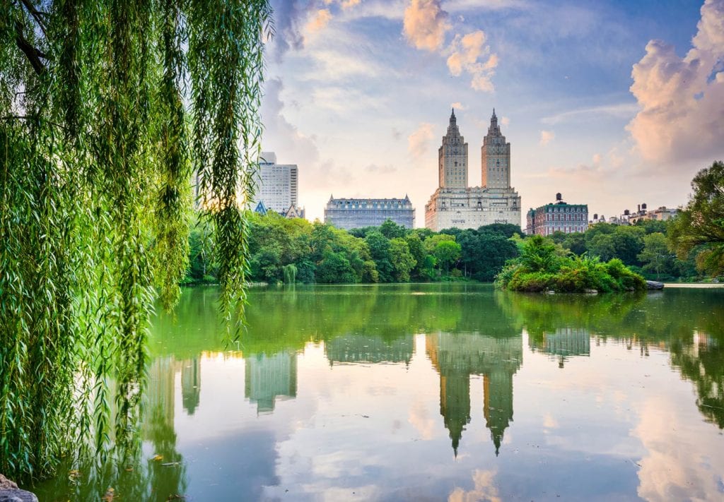 A beautiful view of older high-rise buildings in New York beyond a lake in Central Park. There is greenery all around, and the buildings’ reflections are seen in the still water.