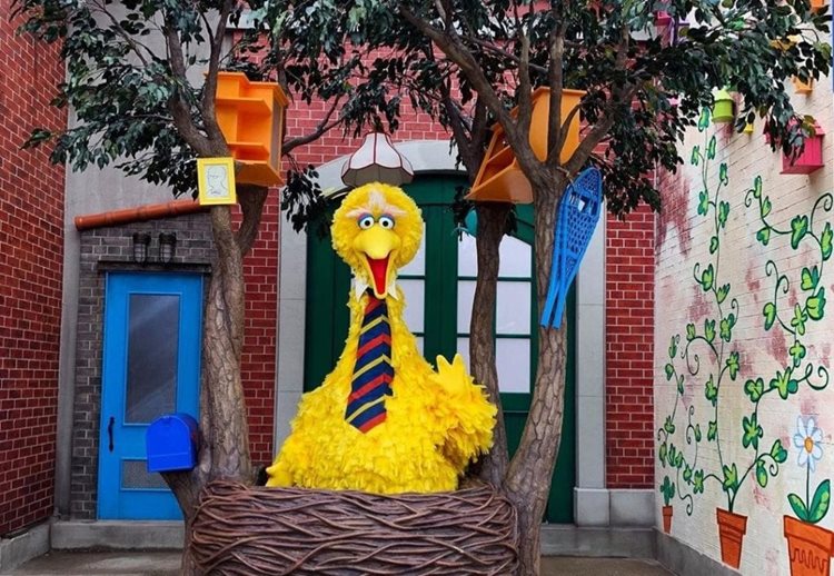 Sesame Street’s Big Bird poses for a photo in his “home” at Sesame Place in Langhorne, Pennsylvania.