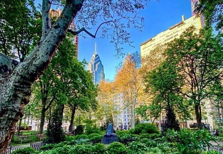 A view of tall city buildings in Philadelphia’s Rittenhouse Square, seen from the green interior of a city park.