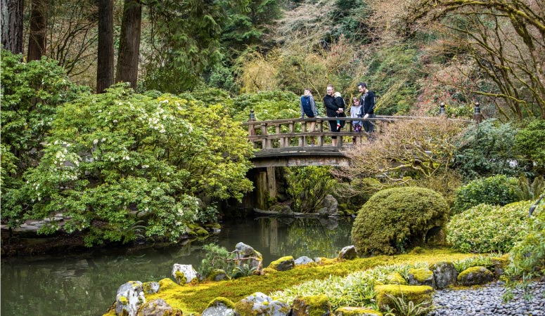 Several people are standing on a bridge in the Portland Japanese Garden. They’re looking out over the still water at the variety of flora on display.