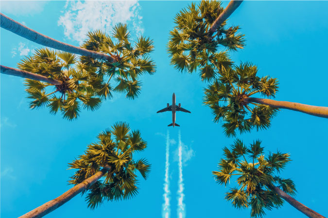 View looking up at an airplane flying out of LAX, seen between two bunches of tropical palm trees.