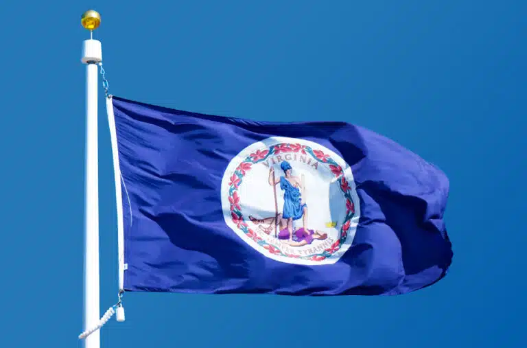 The Virginia state flag