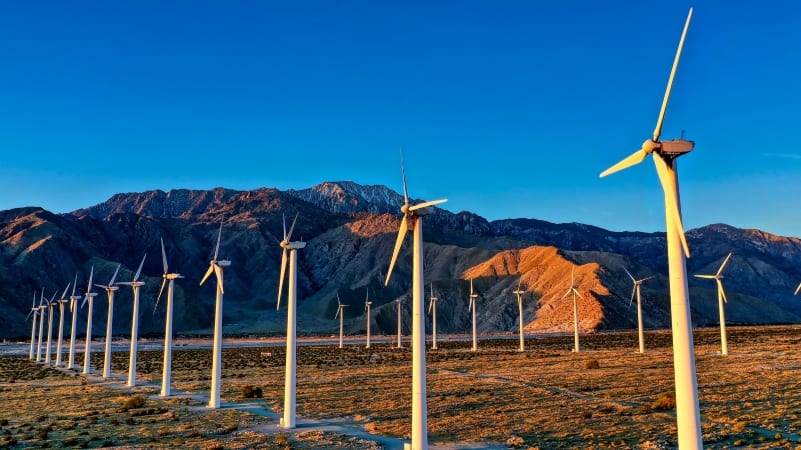 Two rows of huge wind turbines in a California field. Behind the turbines, mountains fill the skyline.