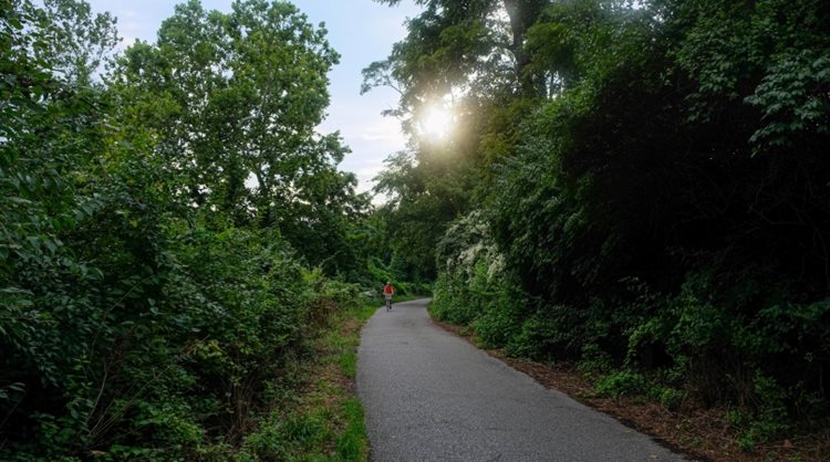 A single biker is riding on the Capital Crescent Trail as the sun peeks through the trees. Greenery like this is an underrated part of living in Washington, D.C.