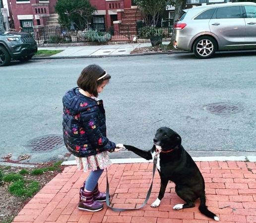 A young girl shakes hands with her dog as he sits patiently on a sidewalk in the Capitol Riverfront neighborhood of Washington, D.C.