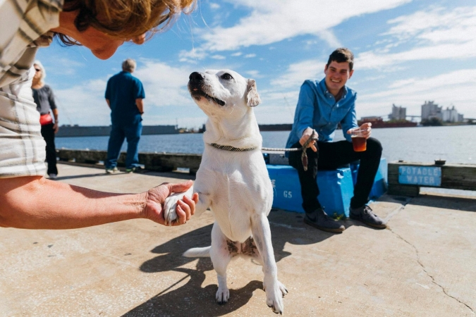 A man is sitting along the water in Tampa, Florida, drinking a cool beverage as he holds his white dog on a leash. The dog is greeting a woman in the foreground of the image by offering its paw to her
