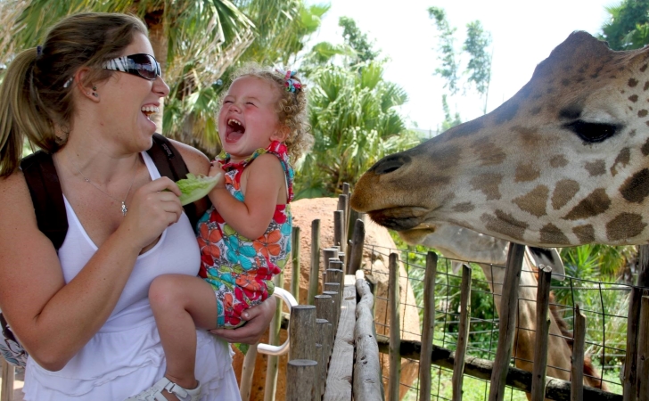 A young mother and her toddler laugh together as they feed a giraffe lettuce in Tampa, Florida. 