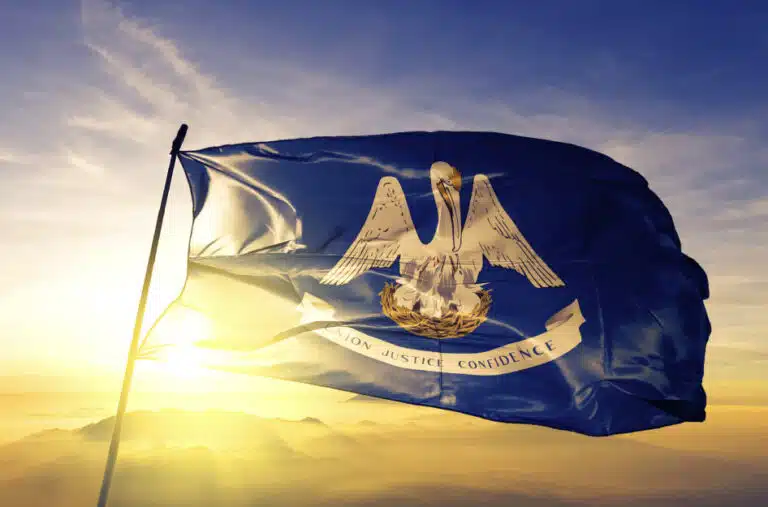 The Louisiana state flag