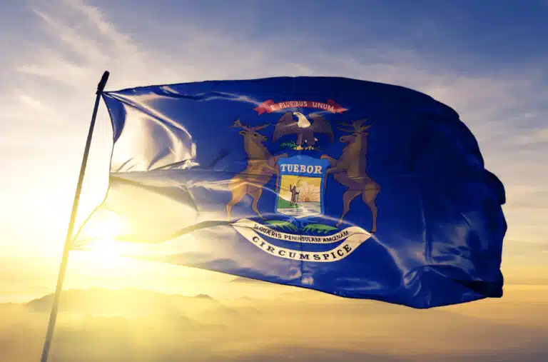 Michigan state flag