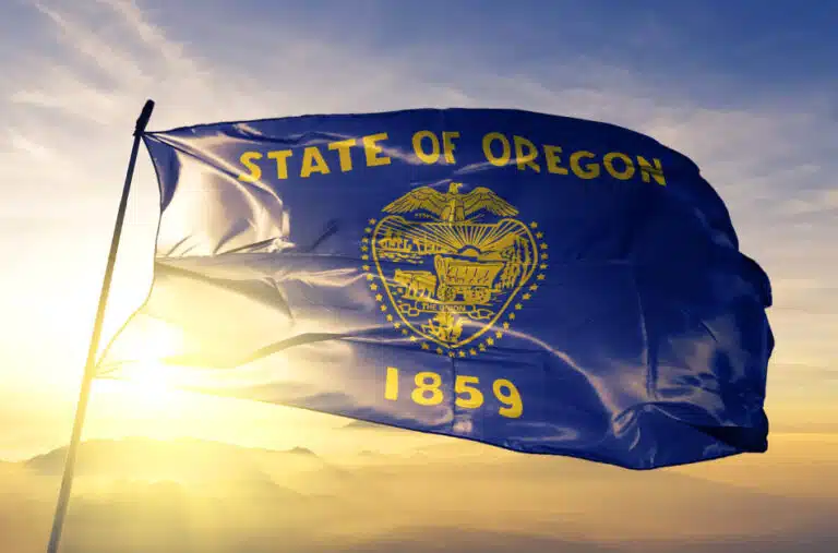 The Oregon state flag