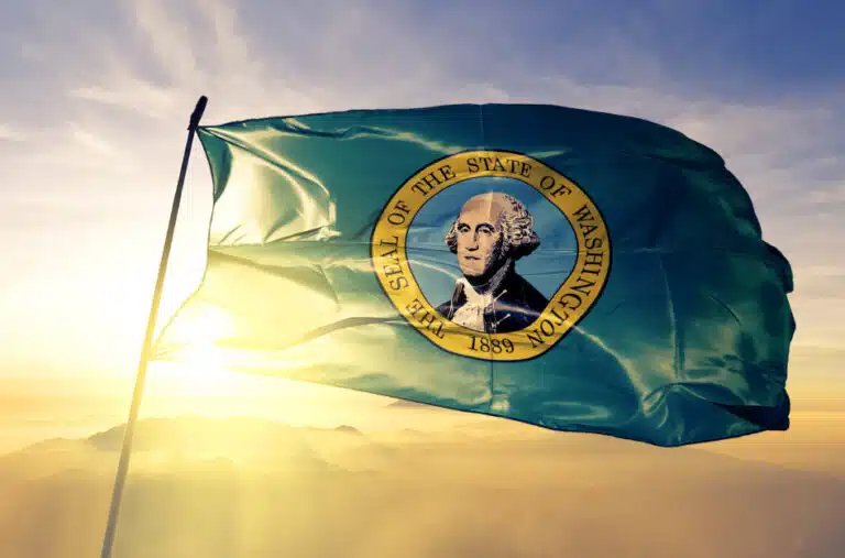 Washington state flag