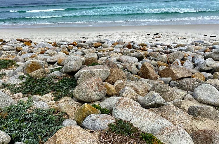 A rocky shoreline