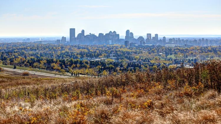 A distant view of the downtown buildings in Calgary as seen from Nose Hill Park.