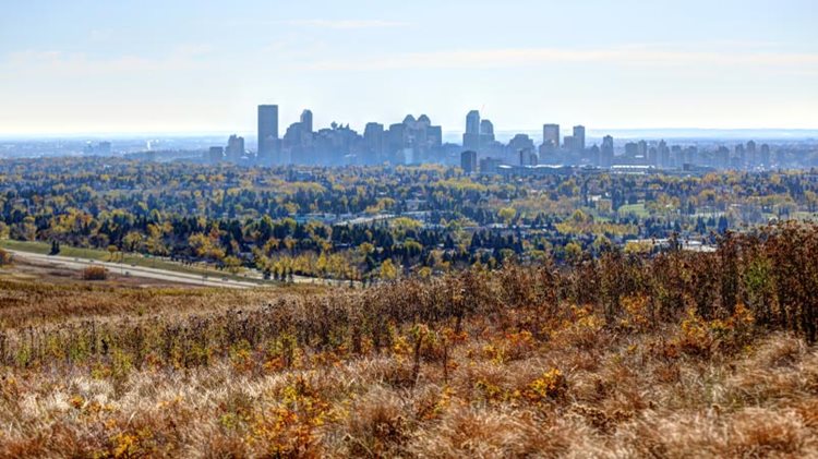 A distant view of the downtown buildings in Calgary as seen from Nose Hill Park near Edgemont — one of the best neighbourhoods in Calgary.