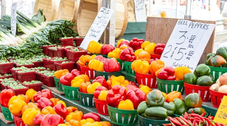 Vibrantly coloured produce is on display at a local Calgary farmer’s market. Reds, greens, and yellows make up most of this stall’s offerings of peppers and other vegetables.