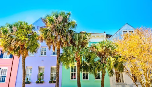A close-up view of palm trees in front of pink, purple, green, and white residences on Rainbow Row in Charleston.
