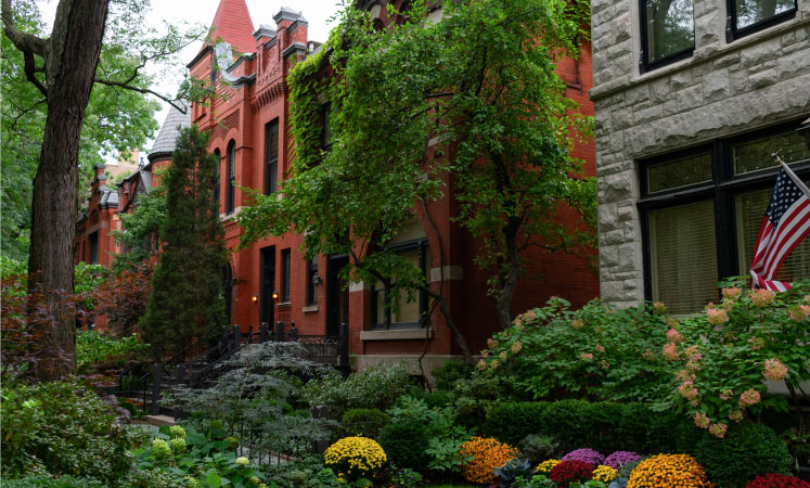 A row of old brick and stone homes with lush landscaping in Chicago’s Lincoln Park neighborhood. There are thick green vines running up the front of the middle home and the front yards are filled with flowering bushes and shade trees.