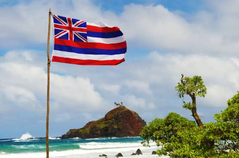 The Hawaii state flag