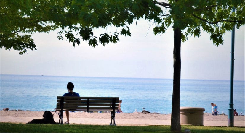 A Toronto resident relaxes on a bench with their dog at Kew-Balmy Beach in Toronto, Ontario.