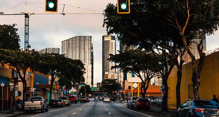 Street-level view of a tree-lined road in Miami. Cars are parked along the sides of the road and low buildings make up much of the immediate area. In the distance, tall Miami skyscrapers fill the skyline.