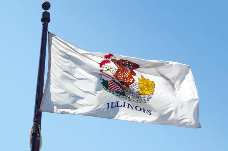 The Illinois state flag
