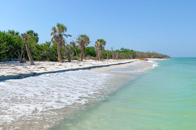 A beach on Caladesi Island in Dunedin, Florida, features turquoise blue waters, a row of palm trees, and a single red kayak resting on the sand.