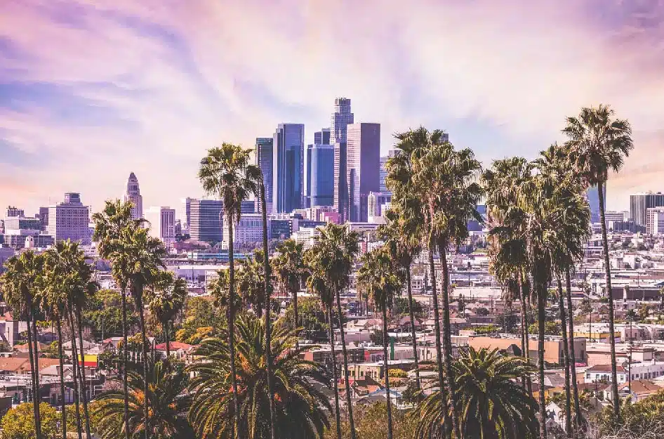 A view of the tall buildings in downtown Los Angeles, seen through a bunch of palm trees. The sky is filled with wispy clouds, and bits of blue are showing through.
