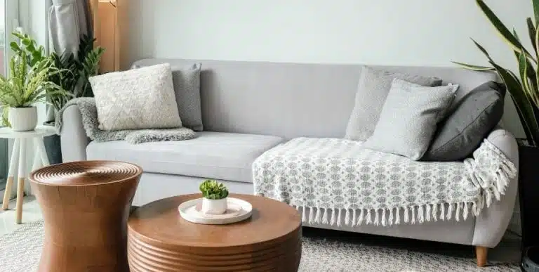 grey couch with plant decorations