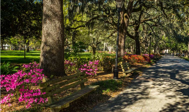Azaleas bloom beside a walking path in Savannah's Historic Forsyth Park in spring